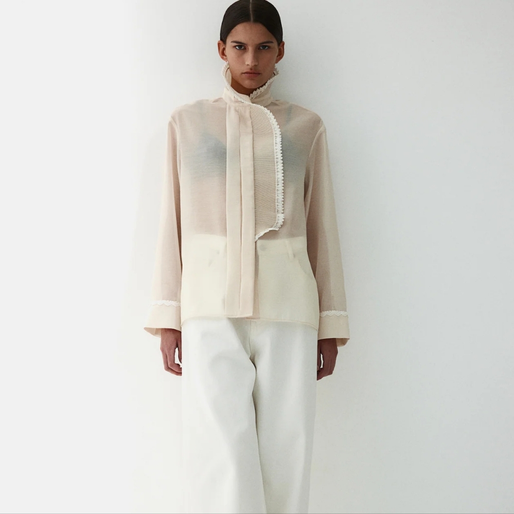 H&M Edition Sheer Pleated Ruffle Blouse Size S